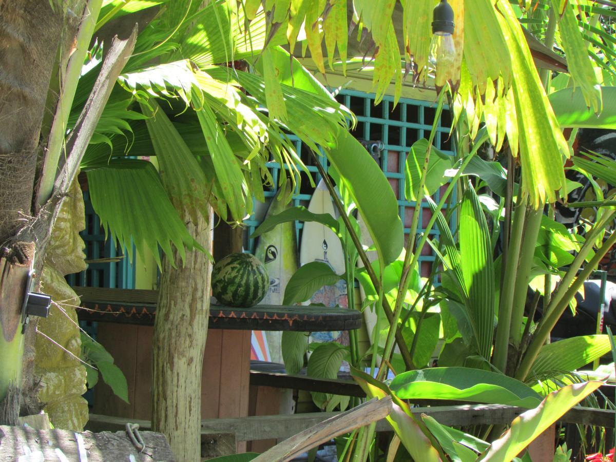Coconut Hostel Bocas Town Exterior photo