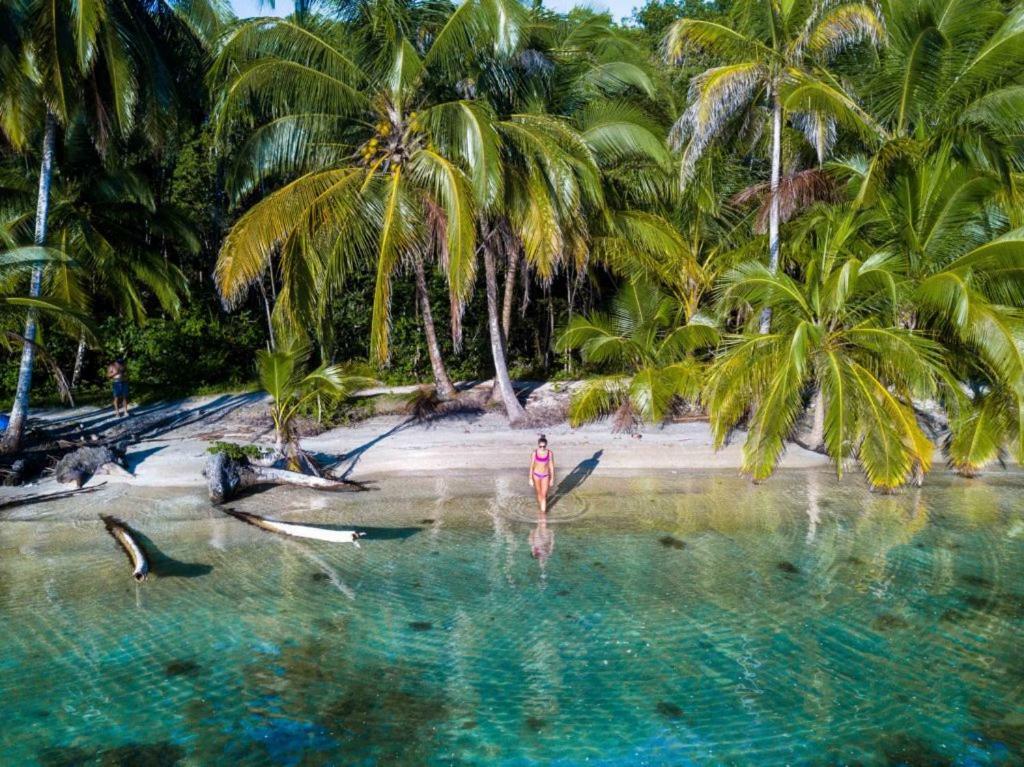 Coconut Hostel Bocas Town Exterior photo